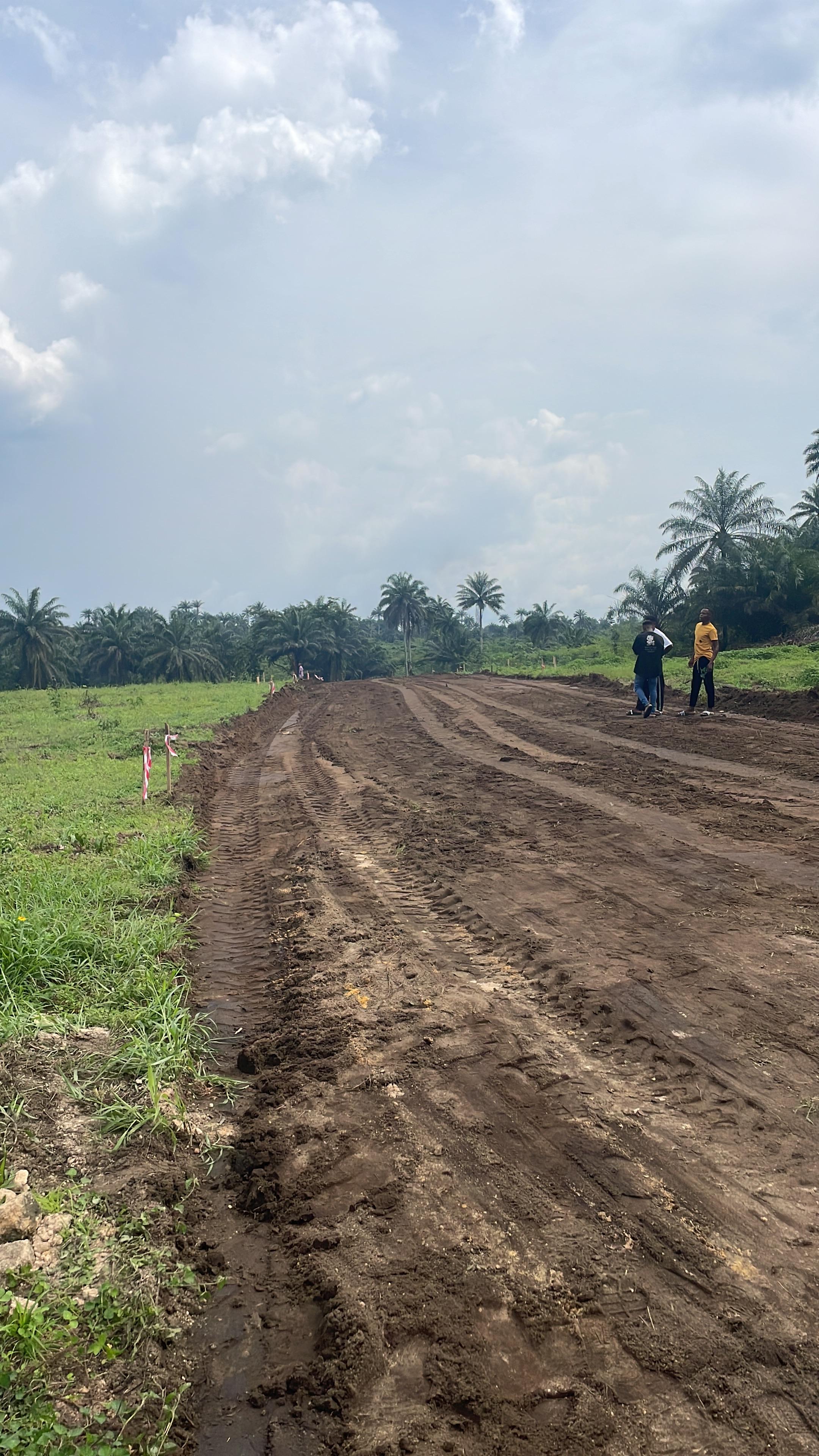 GROWTH DISTRICT LAND SALES (GOLDEN PALACE RESIDENCES) photo 8