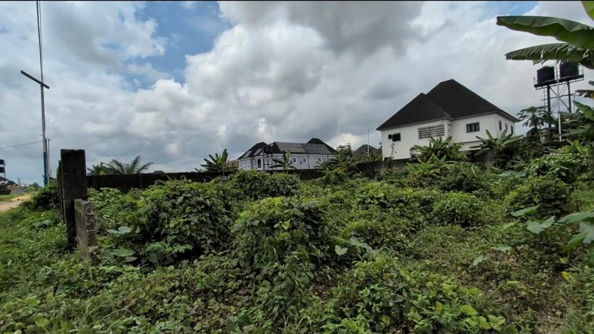 Block 4 Residential Plot photo 2
